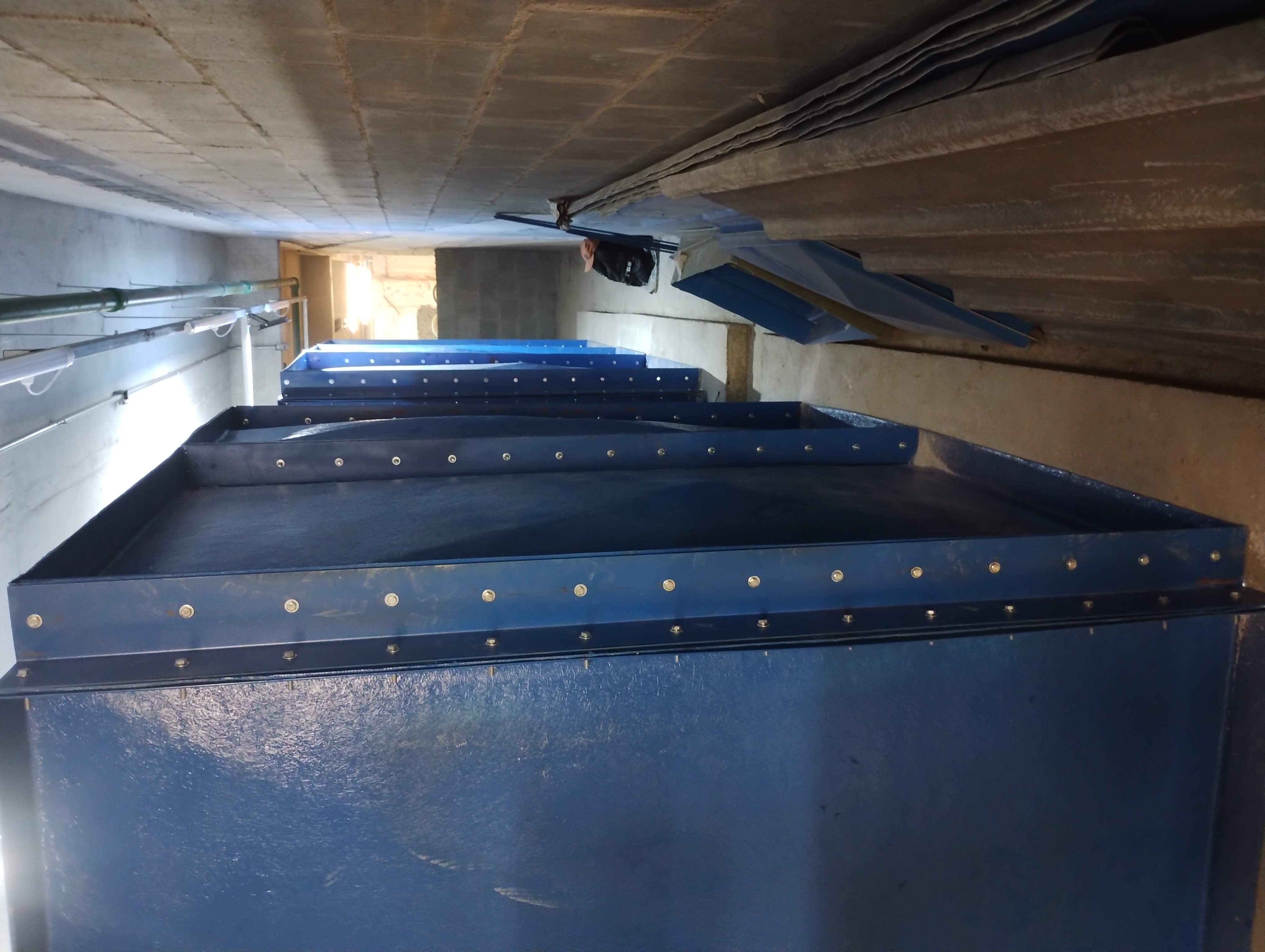 IMG_20240919_180524701 (1).jpg